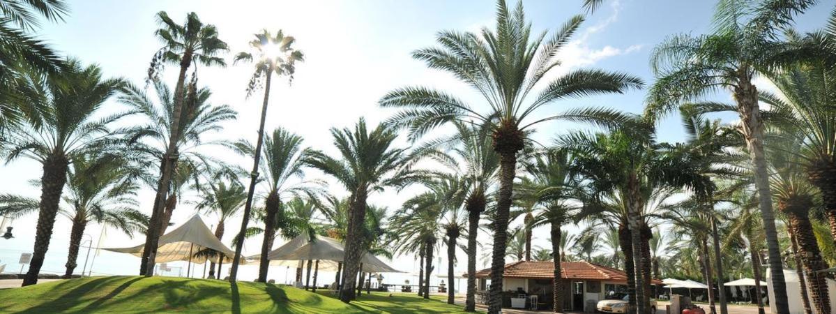 Kings Towers Blue Beach Tiberias Luaran gambar